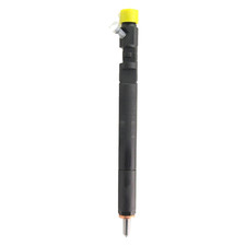 Injektor delphi ejbr04201d gebraucht kaufen  Rastatt