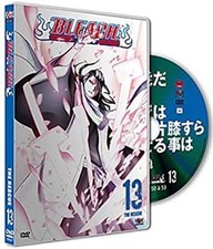 Dvd bleach vol.13 d'occasion  Les Mureaux