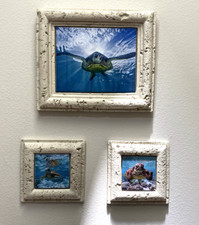 Sea turtle wall for sale  Haines City