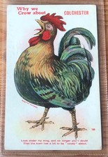 Novelty pull postcard for sale  WORTHING