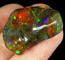 35.5ct african polished for sale  Walnut