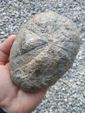 Very rare fossil usato  Valdastico