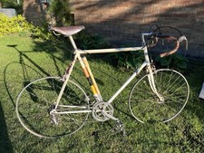 1969 raleigh professional for sale  South Haven