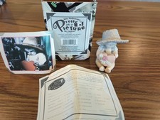 Kim anderson pretty for sale  Dunkerton