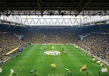 Bvb fototapete borussia gebraucht kaufen  Steinfeld