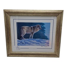 Stephen gayford forest for sale  WARRINGTON