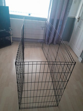 Large black dog for sale  LIVERPOOL