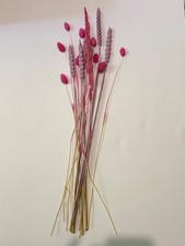 Colourful dried flowers for sale  SANDY