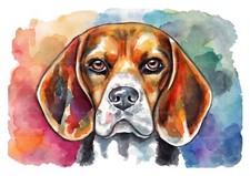 Beagle acquerello originale usato  Villaricca