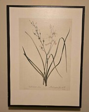 Lot large floral for sale  Crisfield