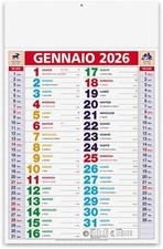 Calendario muro 2026 usato  Vicenza