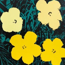 Andy Warhol- Tela de seda "Flores 11.72" comprar usado  Enviando para Brazil