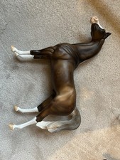 Peter stone arabian for sale  PICKERING
