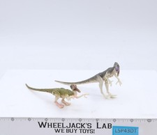 Coelophysis jp04 sprinters for sale  Eldora