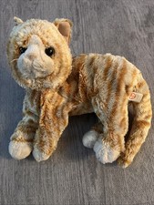 2018 cobbler kitty for sale  Pottstown