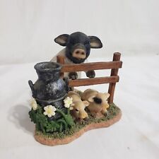 Pig sow piglets for sale  Sarcoxie