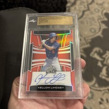 2025 leaf metal for sale  Clinton