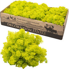 Karton islandmoos frühlingsgr gebraucht kaufen Karton islandmoos frühlingsgr gebraucht kaufen  Straubing