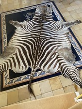 zebrafell gebraucht kaufen zebrafell gebraucht kaufen Hamburg