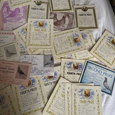 Vintage homing pigeon for sale  PENARTH