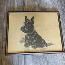 Lucy dawson scottie for sale  Caldwell