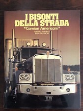 Bisonti della strada usato  Arese
