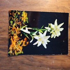 Carte postale edelweiss d'occasion  Troyes