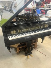 Pianoforte coda plazidus usato  Trambileno