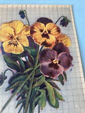 Collezione cartoline fiori usato  Firenze