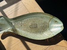 Hand painted fish for sale  TORRINGTON