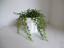 Ikea socker pflanztopf gebraucht kaufen  Kiel
