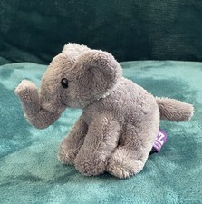 Twycross zoo elephant for sale  NUNEATON