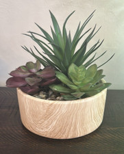 Decorative artificial succulen for sale  Calvert