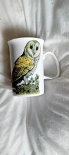 Fine china owl for sale  RIPLEY