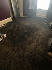Lounge carpet. for sale  SUNDERLAND