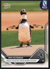 Pepe penguin 2025 for sale  Madison