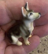 husky german shepherd for sale husky german shepherd for sale Veneta