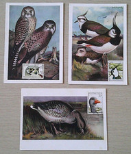 cartes 1 er jour d'occasion cartes 1 er jour d'occasion  Prunelli-di-Fiumorbo