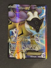 Pokemon raikou full usato  Grosseto