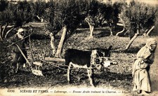 Algeria ploughing arab d'occasion  Expédié en Belgium