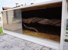Terrario artigianale legno usato  Vinadio