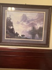 Large vintage bassett for sale  Sykesville