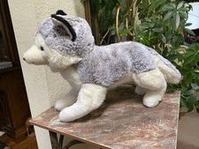 Siberian husky silver for sale  Colorado Springs
