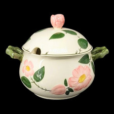 Villeroy boch wildrose gebraucht kaufen  Merchweiler
