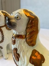 staffordshire dogs for sale staffordshire dogs for sale LUDLOW