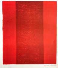 Barnett newman litografia usato  Roma