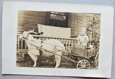 Goat pulling boy for sale  Elmdale