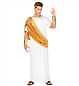 Costume giulio cesare usato  Olbia