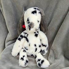 Sainsbury dalmatian puppy for sale  ROMNEY MARSH