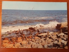 Postkarte 2600 gelaufen gebraucht kaufen  Bad Herrenalb